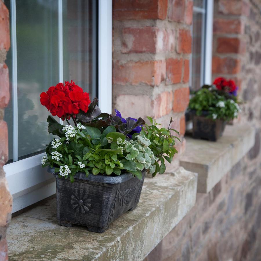 Cash Hill Farm Cottages Ballinamallard Exteriér fotografie